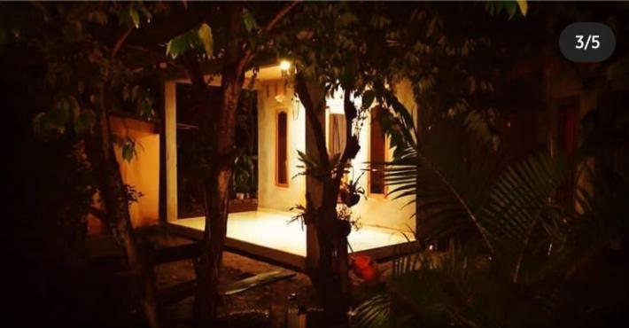 טטבאטו Eltari Homestay מראה חיצוני תמונה