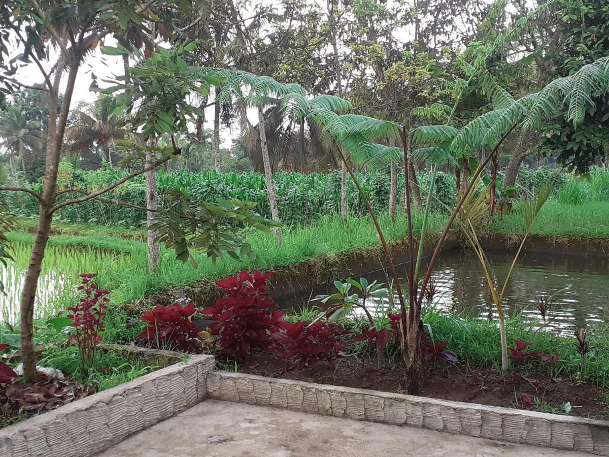 טטבאטו Eltari Homestay מראה חיצוני תמונה