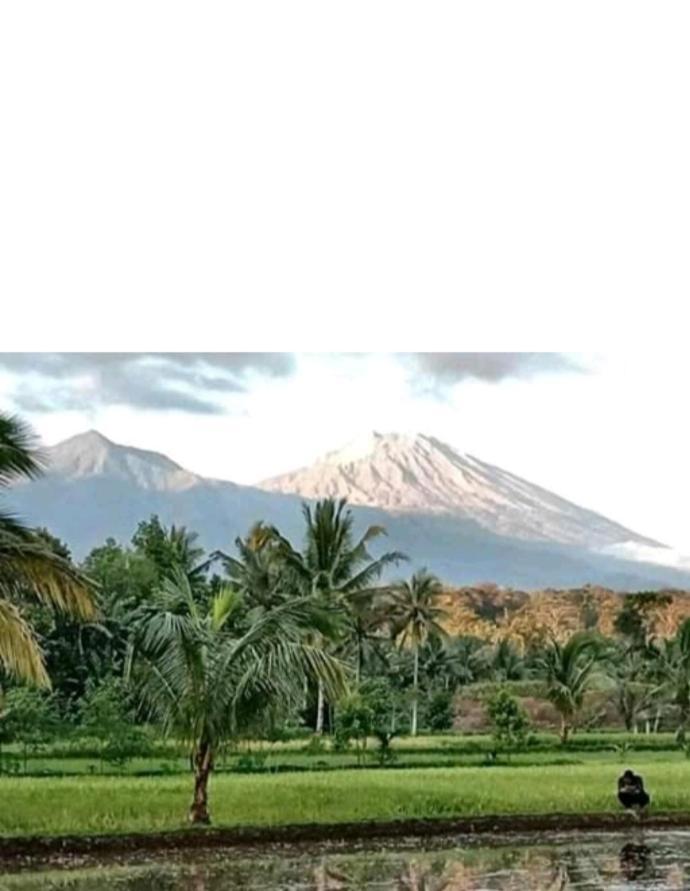 טטבאטו Eltari Homestay מראה חיצוני תמונה